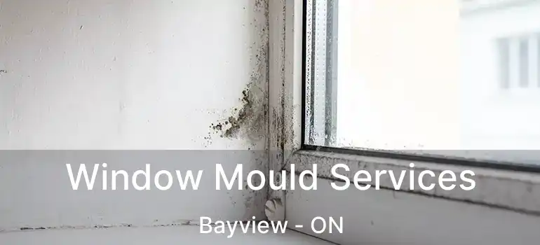  Window Mould Services Bayview - ON