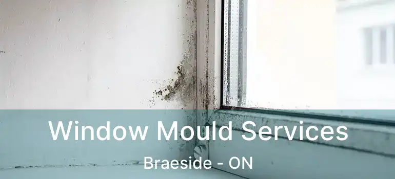  Window Mould Services Braeside - ON