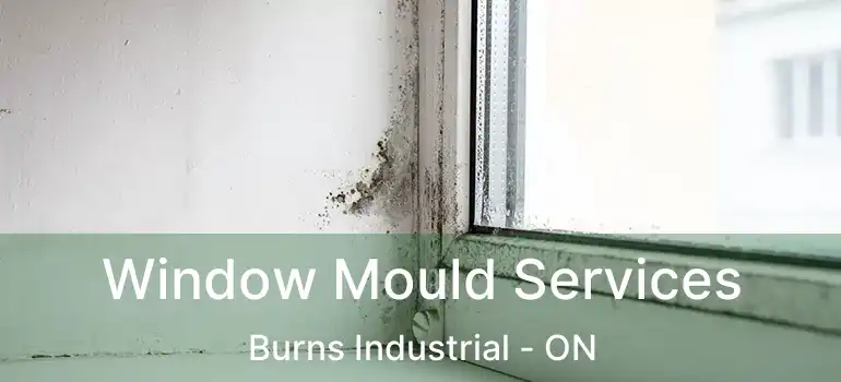  Window Mould Services Burns Industrial - ON