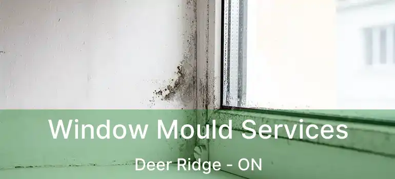  Window Mould Services Deer Ridge - ON