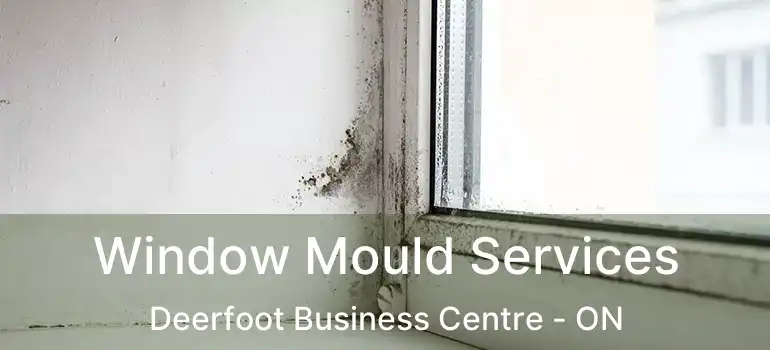  Window Mould Services Deerfoot Business Centre - ON