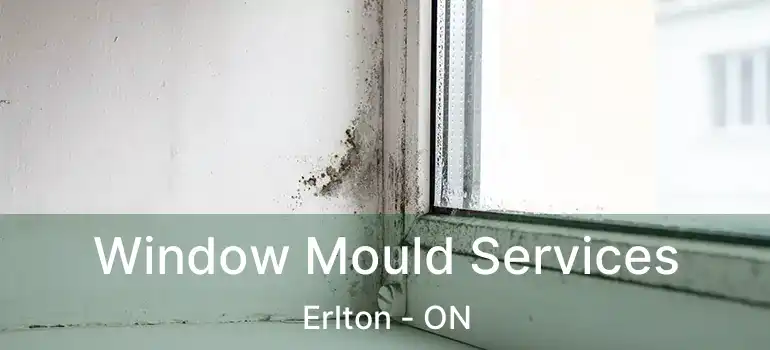  Window Mould Services Erlton - ON