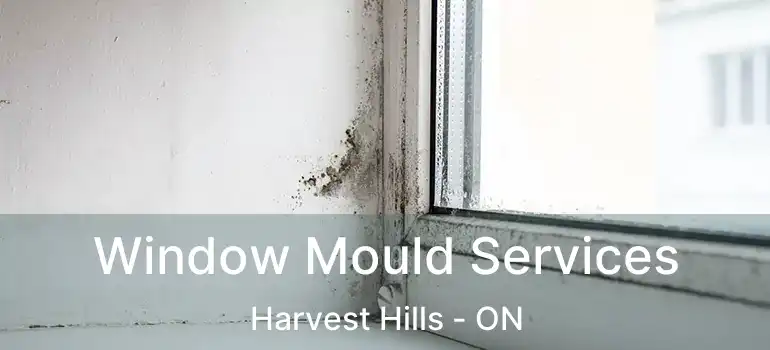  Window Mould Services Harvest Hills - ON