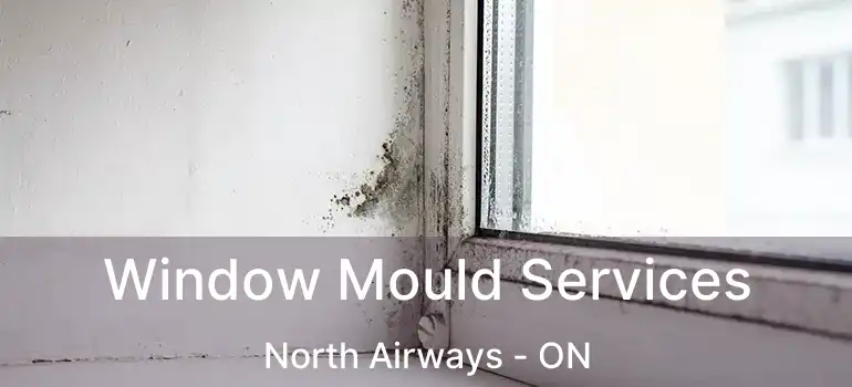  Window Mould Services North Airways - ON