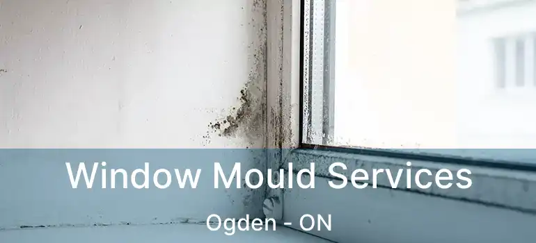 Window Mould Services Ogden - ON