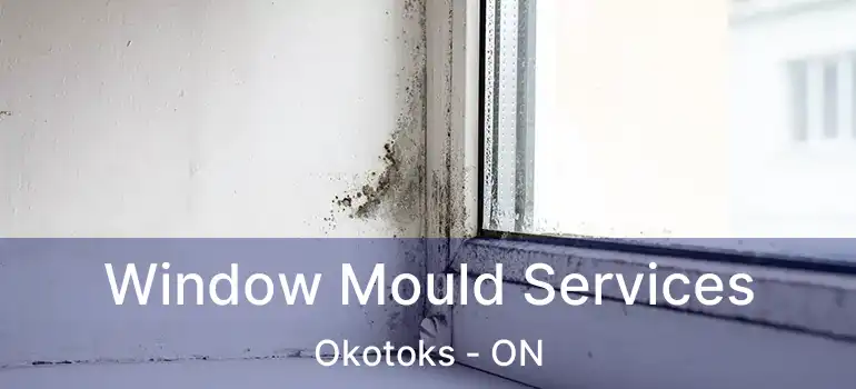  Window Mould Services Okotoks - ON