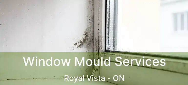  Window Mould Services Royal Vista - ON