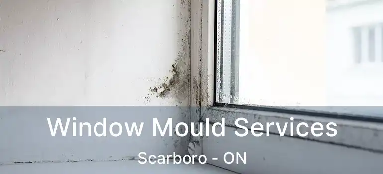  Window Mould Services Scarboro - ON