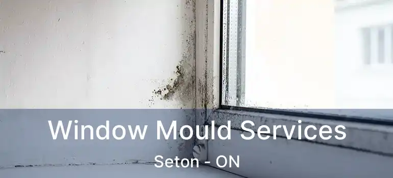  Window Mould Services Seton - ON