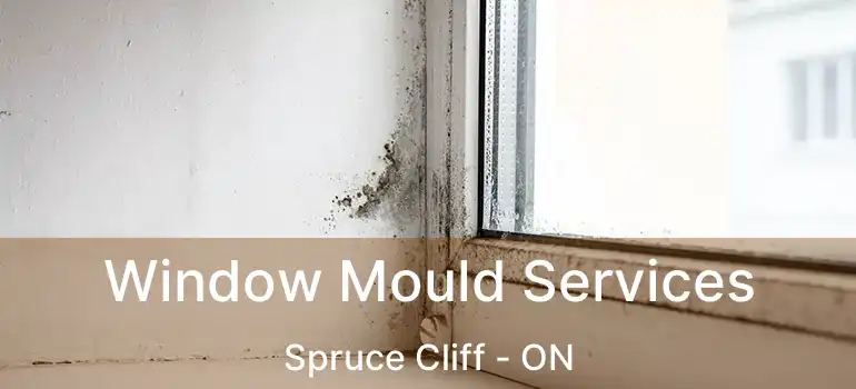  Window Mould Services Spruce Cliff - ON