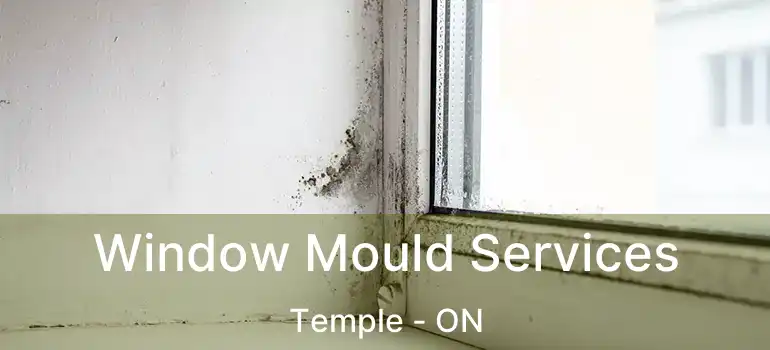  Window Mould Services Temple - ON