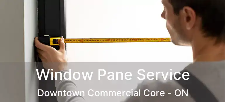  Window Pane Service Downtown Commercial Core - ON