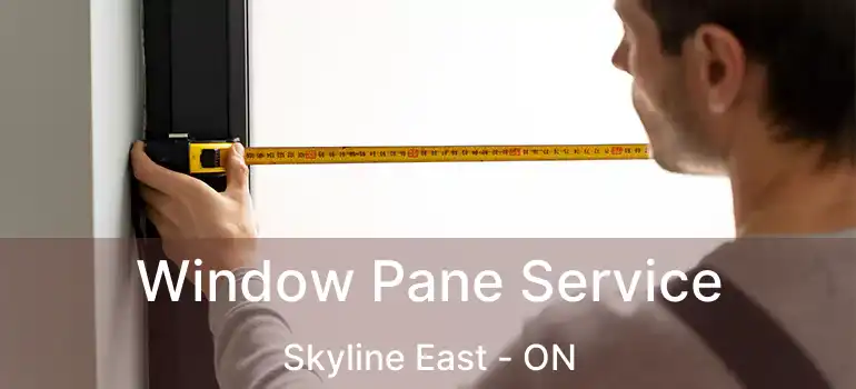 Window Pane Service Skyline East - ON