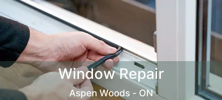  Window Repair Aspen Woods - ON