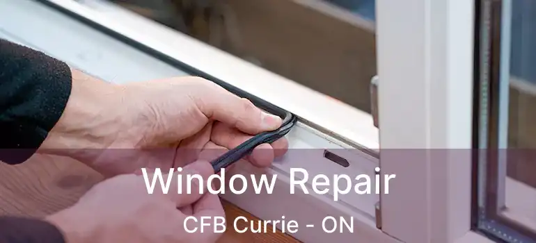  Window Repair CFB Currie - ON