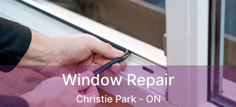  Window Repair Christie Park - ON
