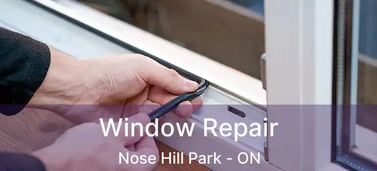  Window Repair Nose Hill Park - ON