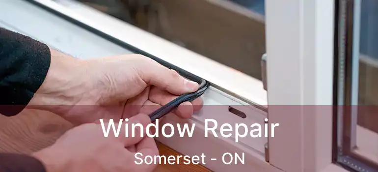  Window Repair Somerset - ON