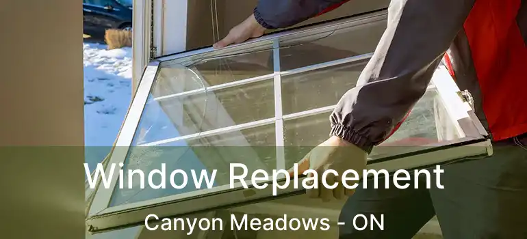  Window Replacement Canyon Meadows - ON