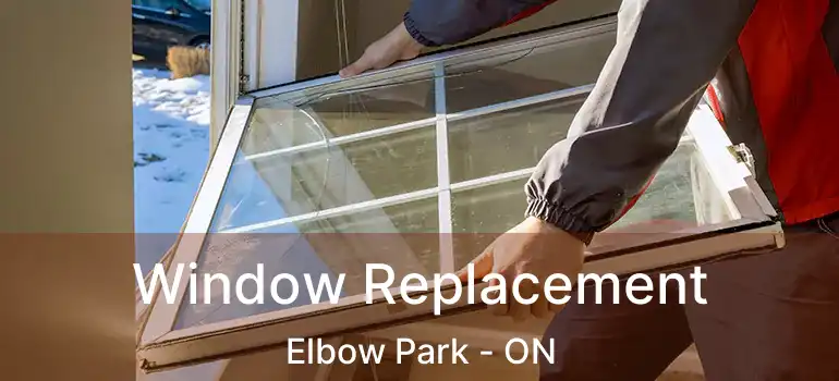  Window Replacement Elbow Park - ON