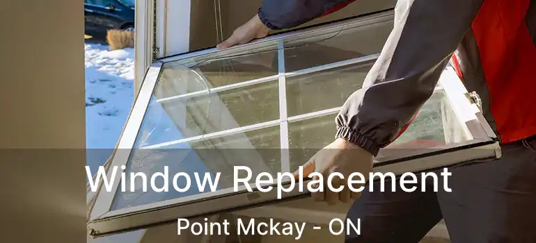  Window Replacement Point Mckay - ON