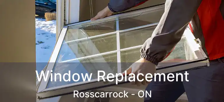  Window Replacement Rosscarrock - ON
