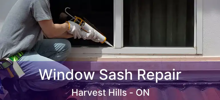  Window Sash Repair Harvest Hills - ON