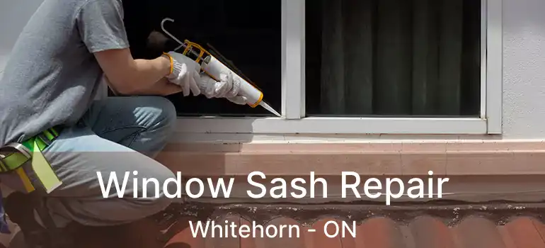  Window Sash Repair Whitehorn - ON