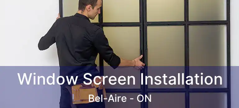  Window Screen Installation Bel-Aire - ON