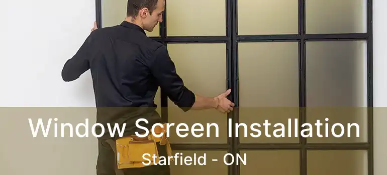  Window Screen Installation Starfield - ON