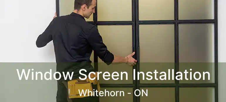  Window Screen Installation Whitehorn - ON