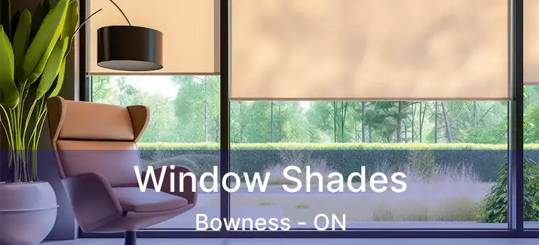  Window Shades Bowness - ON