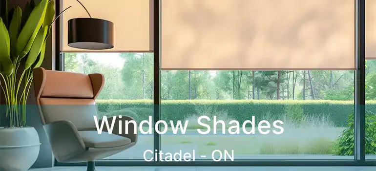  Window Shades Citadel - ON