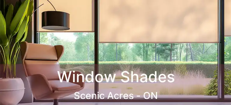  Window Shades Scenic Acres - ON