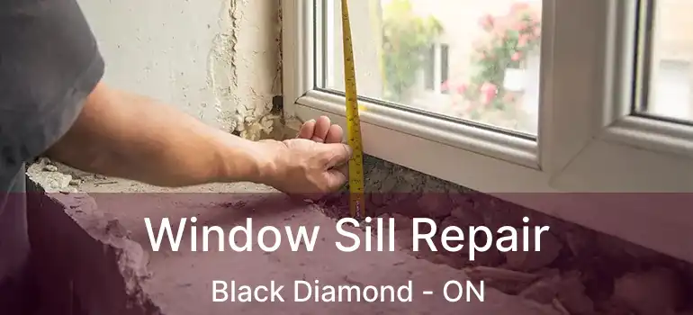  Window Sill Repair Black Diamond - ON