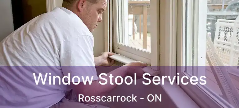  Window Stool Services Rosscarrock - ON