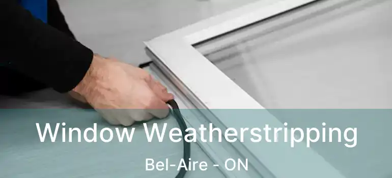  Window Weatherstripping Bel-Aire - ON