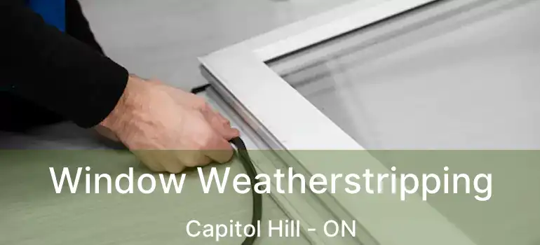  Window Weatherstripping Capitol Hill - ON