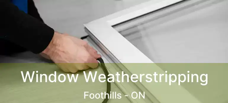  Window Weatherstripping Foothills - ON