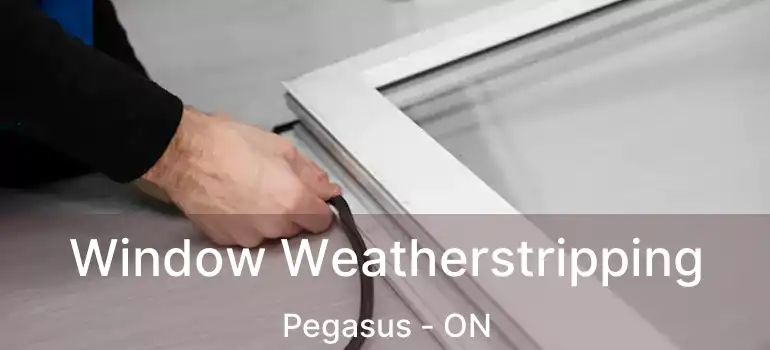  Window Weatherstripping Pegasus - ON