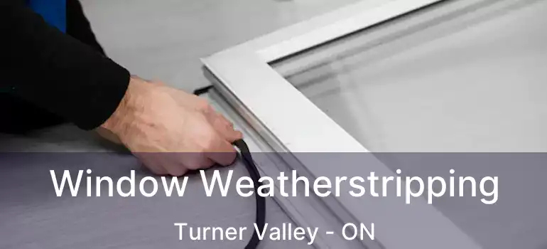  Window Weatherstripping Turner Valley - ON