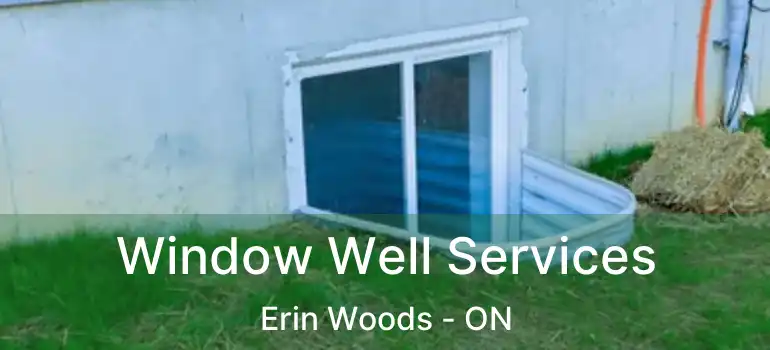  Window Well Services Erin Woods - ON