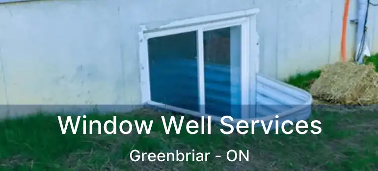  Window Well Services Greenbriar - ON