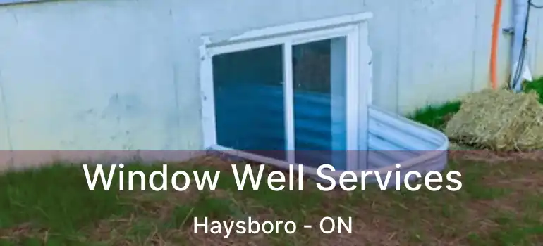  Window Well Services Haysboro - ON