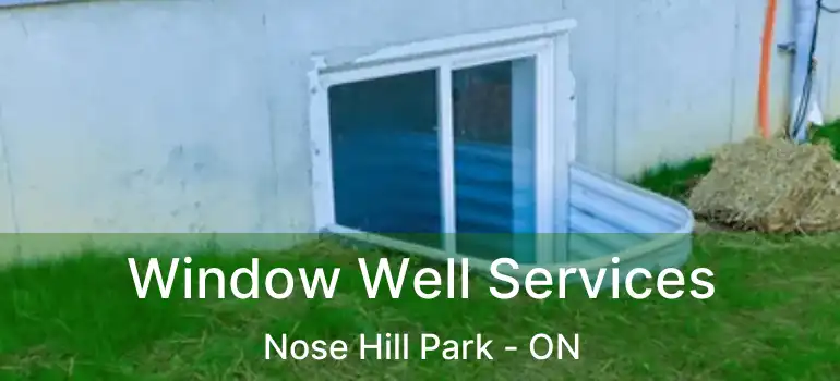  Window Well Services Nose Hill Park - ON