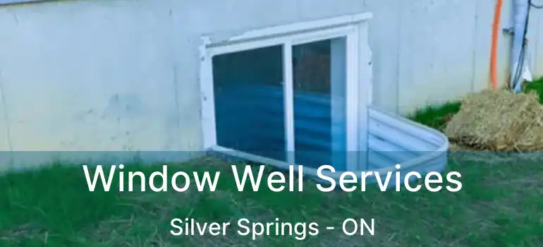  Window Well Services Silver Springs - ON