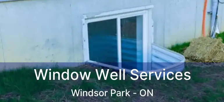  Window Well Services Windsor Park - ON